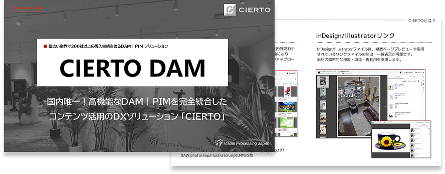 DAM画像